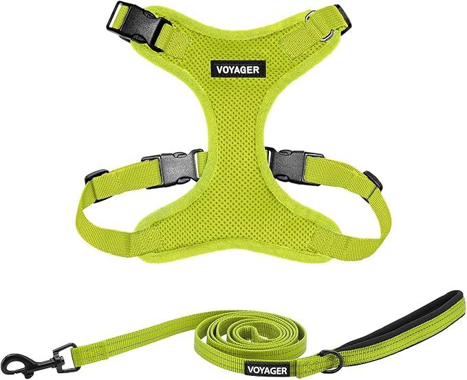 Voyager Step-in Lock Dog Harness w Reflective Dog Leash Combo Set with Neoprene Handle 5ft - Supports Small, Medium and Large Breed Puppies/Cats by Best Pet Supplies - Lime Green, XL
