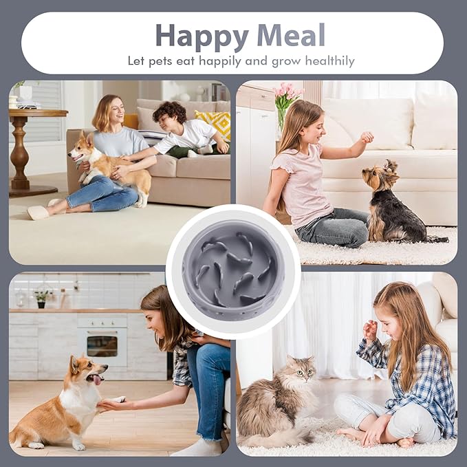 Silicone Slow Feeder Dog Bowls & Cat Bowls, 2 Cups Small Pet Food Bowl with Non-Slip Suction Base, Food-Grade Safe Puzzle Feeder for Small & Medium Dogs & Indoor Cats - Dishwasher & Microwave Safe