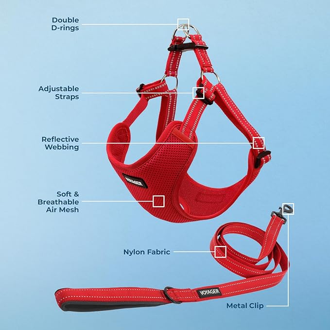 Best Pet Supplies Voyager Adjustable Dog Harness Leash Set with Reflective Stripes for Walking Heavy-Duty Full Body No Pull Vest with Leash D-Ring, Breathable All-Weather - Harness (Red), S