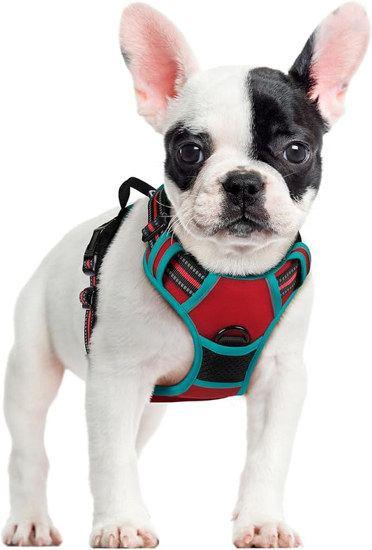 rabbitgoo Dog Harness, No-Pull Pet Harness with 2 Leash Clips, Adjustable Soft Padded Dog Vest, Reflective No-Choke Pet Oxford Vest with Easy Control Handle for Large Dogs, Red & Teal, S