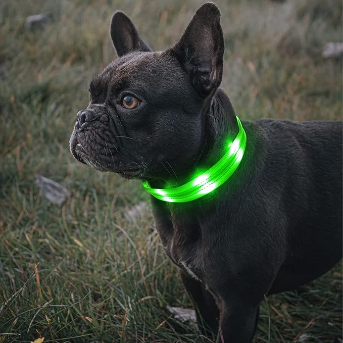 LED Dog Collar - USB Rechargeable Light Up Dog Collar Lights, Adjustable Comfortable Soft Safety Dog Collar for Night Walking (Green, Medium)
