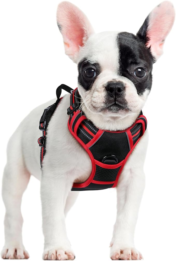 rabbitgoo Dog Harness, No-Pull Pet Harness with 2 Leash Clips, Adjustable Soft Padded Dog Vest, Reflective No-Choke Pet Oxford Vest with Easy Control Handle for Large Dogs, Black & Red, S