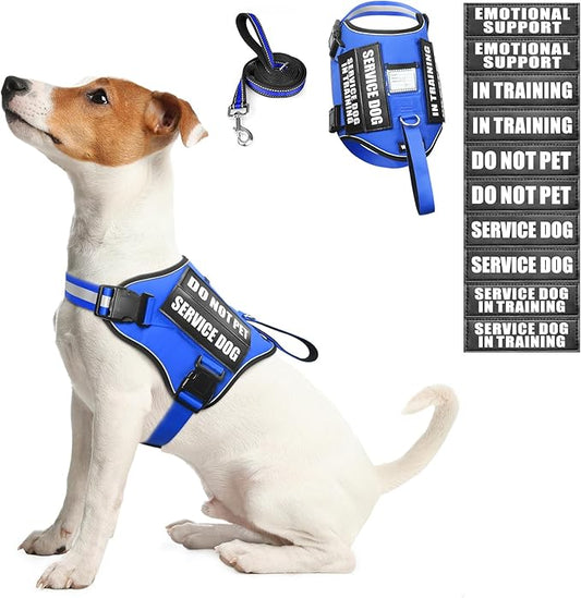 WINSEE Dog Harness & Leash Set, Small Blue, Emotional Support Therapy Vest with 10 Patches, Reflective, Adjustable, for Medium & Large Dogs