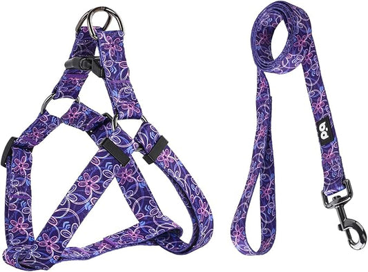 QQPETS Dog Harness Leash Set Adjustable Heavy Duty No Pull Halter Harnesses for Small Medium Large Breed Dogs Back Clip Anti-Twist Perfect for Walking