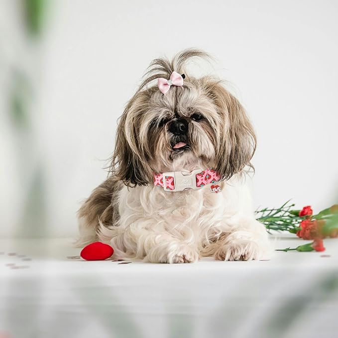 Valentine's Day Dog Collar - Cute Pink Valentines Dog Collar Girl Boy Durable Adjustable Spade Heart Pattern Charm Dog Collars for Small Medium Large Dogs L