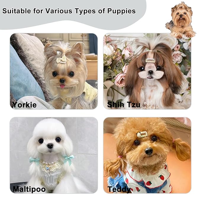 Cute Plastic Dog Comb with Stainless Steel Bristles and Furry Ears Design - Pet Grooming Tool for Removing Dirt and Tangles （Grey）