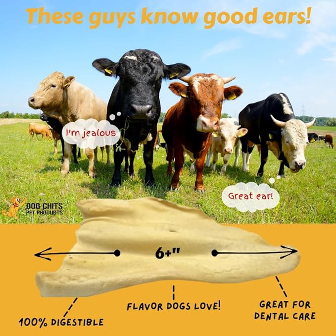 Dog Chits Cow Ears for Dogs and Puppies | 10 Pack | All Natural Half Ears | Made in USA | No Preservatives | 100% Grass Fed Beef | Single Ingredient | Nothing Added | Great for Dogs