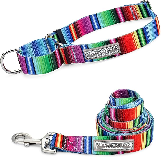 Lucky Love Dog Martingale Collar and Leash Set, Premium No Slip Collar and Leash Set, Colorful Striped Martingale Dog Collar, Great for Whippets, Greyhounds, and More (Large, Nacho - Combo)