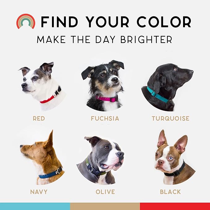 Dog Collar, Lightweight, Heavy Duty Dog Collar with Buckle, Fabric Pet Collar, Breathable & Adjustable Puppy Collar, Dog Collar for Large Dogs (Navy, Large - 14-24 Inch) - Wildebeest