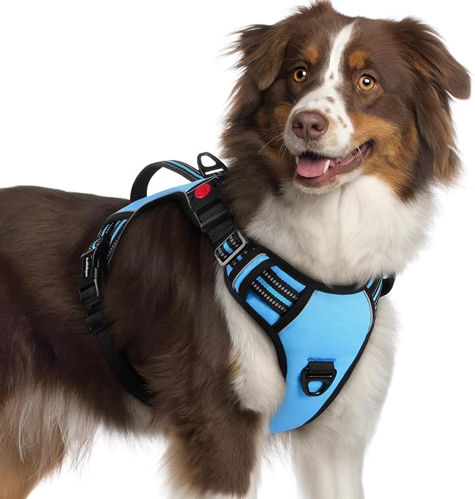 rabbitgoo Dog Harness for Large Dogs, No Pull Pet Harness with Soft Padded Handle, Adjustable Reflective Vest with 3 Buckles, Easy Walking Harness with 2 Leash Clips, Light Blue, XL