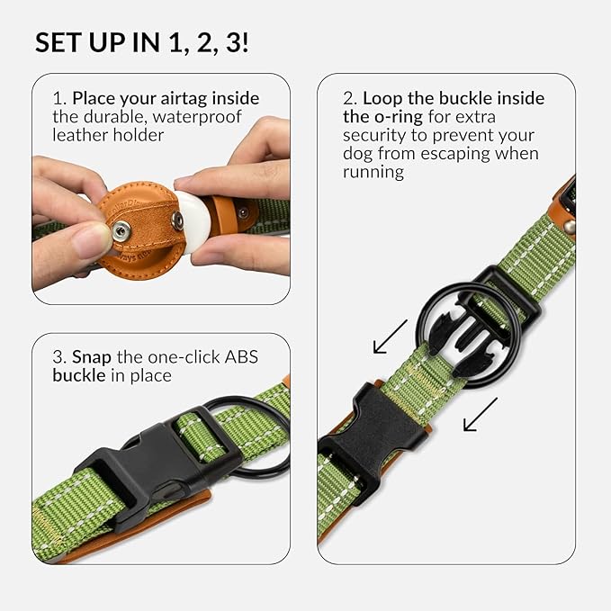 Airtag Dog Collar, CollarDirect, Reflective Dog Collar for Apple Air Tag for Large, Medium, and Small Dogs, Black, Green, Pink (L, Green)