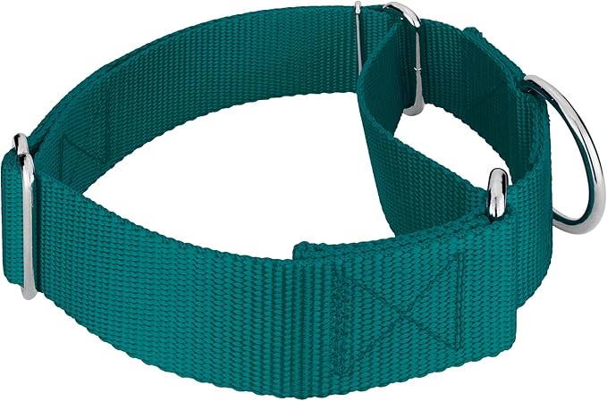 Country Brook Petz 1 1/2 Inch Martingale Heavy Duty Nylon Adjustable Dog Collar for Small, Medium, Large Breeds - Vibrant 17 Color Selection (Teal, Medium)