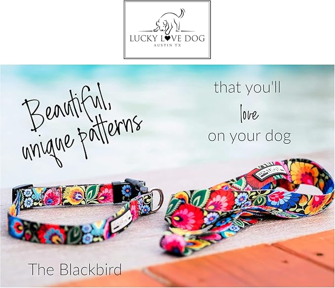 Lucky Love Dog Martingale Collar and Leash Set, Premium No Slip Collar and Leash Set, Floral Vivid Pattern Martingale Collar, Great for Whippets, Greyhounds, and More (Blackbird, Large - Combo)