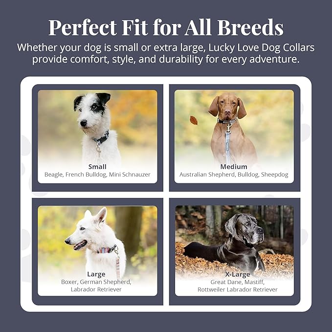 Lucky Love Dog Martingale Dog Collar - Adjustable, No-Slip, Durable, & Soft Webbing Dog Collar for Male and Female Dogs Ideal for Training & Walking - Stylish Blackbird Pattern, Large Size