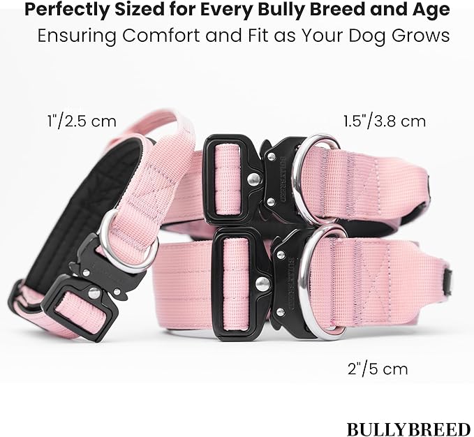 BULLYBREED Premium Dog Colar with Handle, Heavy Duty Dog Collar, Tactical Dog Collar, Quick-Release Metal Buckle, Thick Dog Collar, Dog Collar for Medium Dogs, Dog Collar for Large Dogs (Pink, Large)