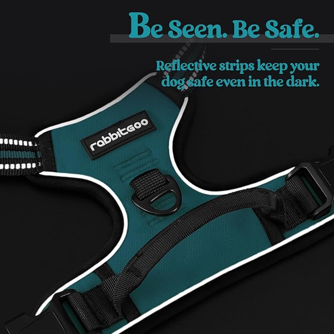 rabbitgoo Dog Harness, No-Pull Pet Harness with 2 Leash Clips, Adjustable Soft Padded Dog Vest, Reflective No-Choke Pet Oxford Vest with Easy Control Handle for Large Dogs, Teal, XL