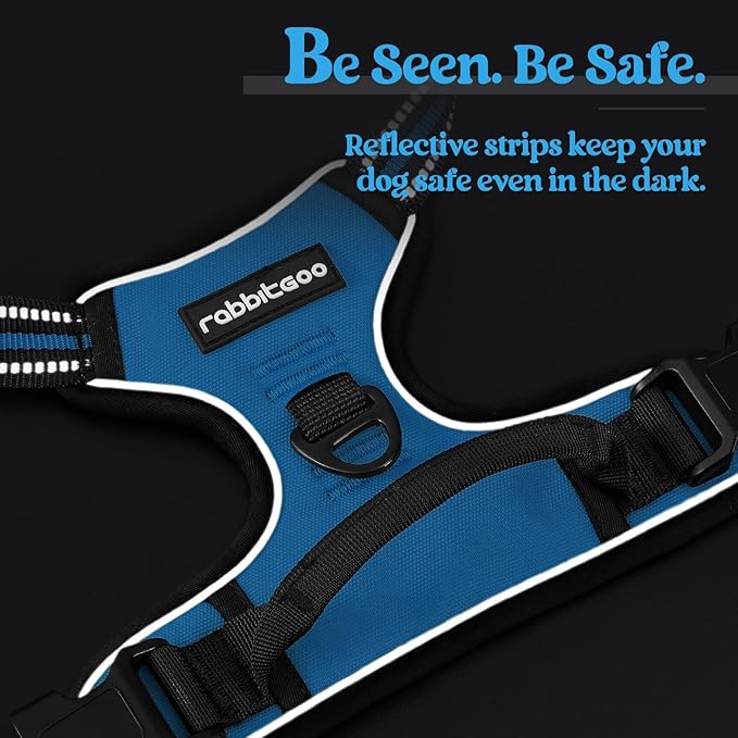 rabbitgoo Dog Harness, No-Pull Pet Harness with 2 Leash Clips, Adjustable Soft Padded Dog Vest, Reflective No-Choke Pet Oxford Vest with Easy Control Handle for Small Dogs, Blue, S