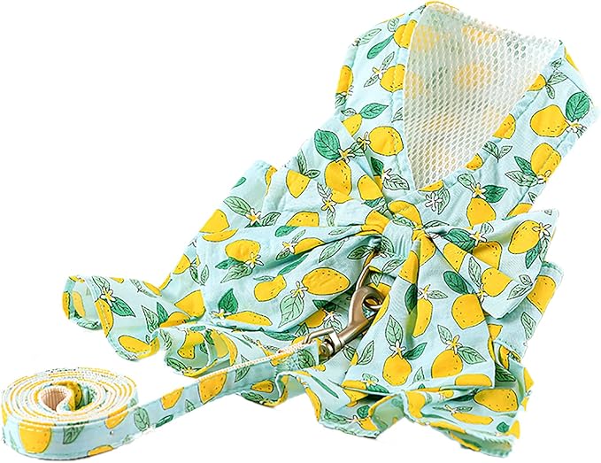Dora Bridal 2 Pack Dog Dress Harness Vest with Leash, No Pull Cat Small Medium Girl Pet Floral Harness Leash Set, Cute Puppy Fruit Outfit Clothes with Bow, Mesh Princess Costume for Outdoor Walking