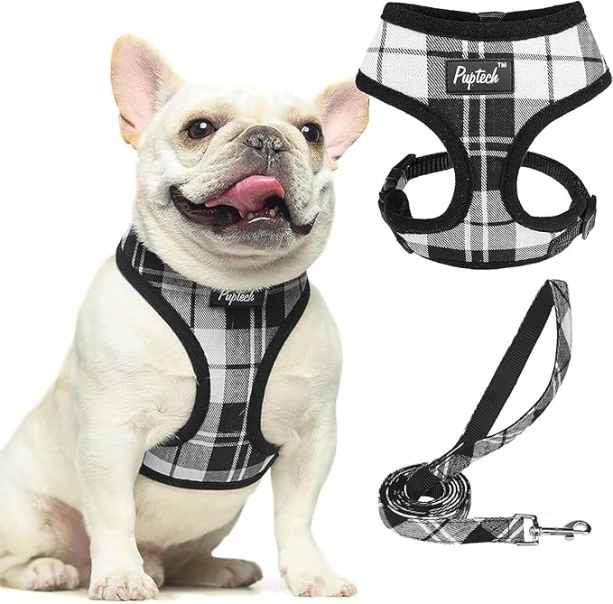 PUPTECK Soft Mesh Dog Harness and Leash Set Pet Puppy Cat Comfort Padded Vest No Pull Harnesses, Black&White, L