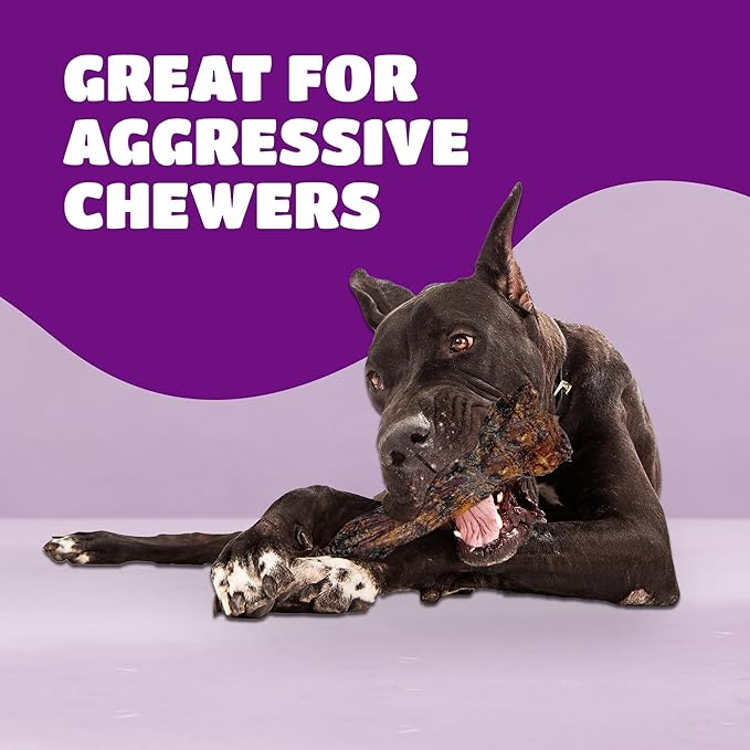 Liver Coated Dog Bones for Aggressive Chewers, Chew Bones for Large Dogs, Beef Shin Large Dog Bones for Medium Dogs, Long Lasting Dog Bones, Dog Chew Bones, 2 Pack
