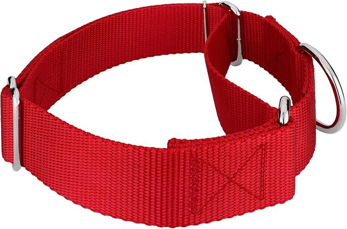 Country Brook Petz 1 1/2 Inch Martingale Heavy Duty Nylon Adjustable Dog Collar for Small, Medium, Large Breeds - Vibrant 17 Color Selection (Red, Large)