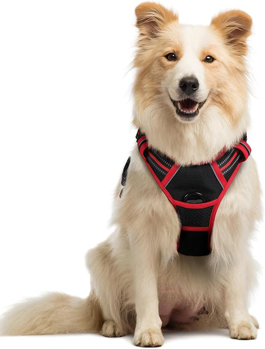 rabbitgoo Dog Harness, No-Pull Pet Harness with 2 Leash Clips, Adjustable Soft Padded Dog Vest, Reflective No-Choke Pet Oxford Vest with Easy Control Handle for Large Dogs, Black & Red, M