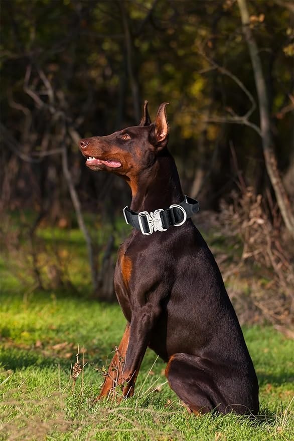 Tactical Military Dog Collar, Strong Heavy Duty Dog Collar, Wide Thick Dog Collar with Handle, Soft Neoprene Padded Collar with Quick Release Metal Buckle for Medium Large Dogs (Black, M)