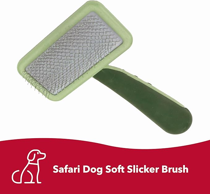 Coastal Pet Safari Dog Soft Slicker Brush - Dog Grooming Brush for Shedding - for Dogs with Short, Medium and Long Hair - Medium - 6.25" x 3.5"