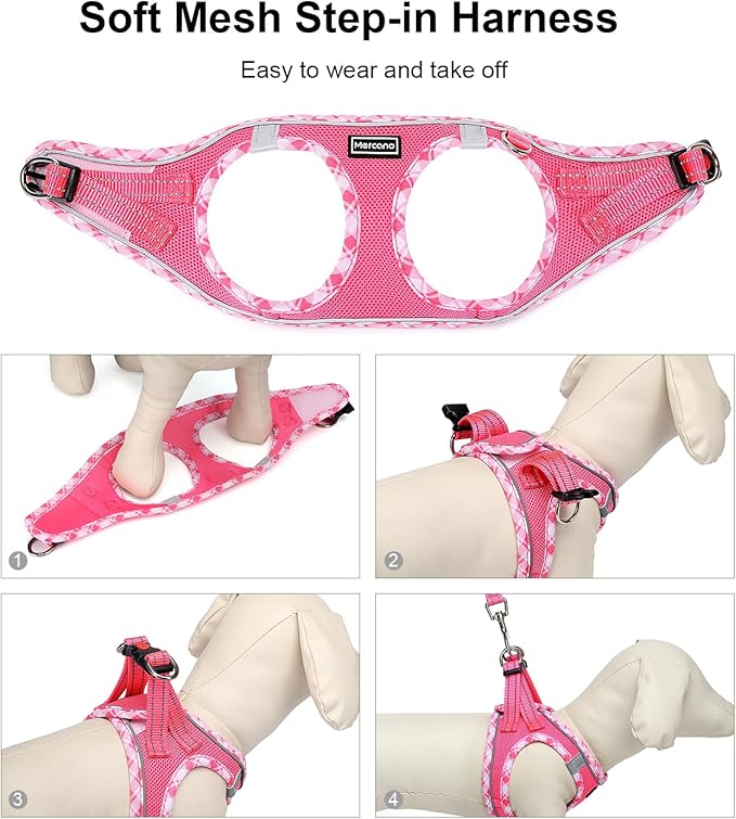 Mercano Soft Mesh Dog Harness and Leash Set, No-Chock Step-in Reflective Breathable Lightweight Easy Walk Vest Harnesses with Safety Buckle for Small Medium Dogs, Cats (M, Fuchsia)