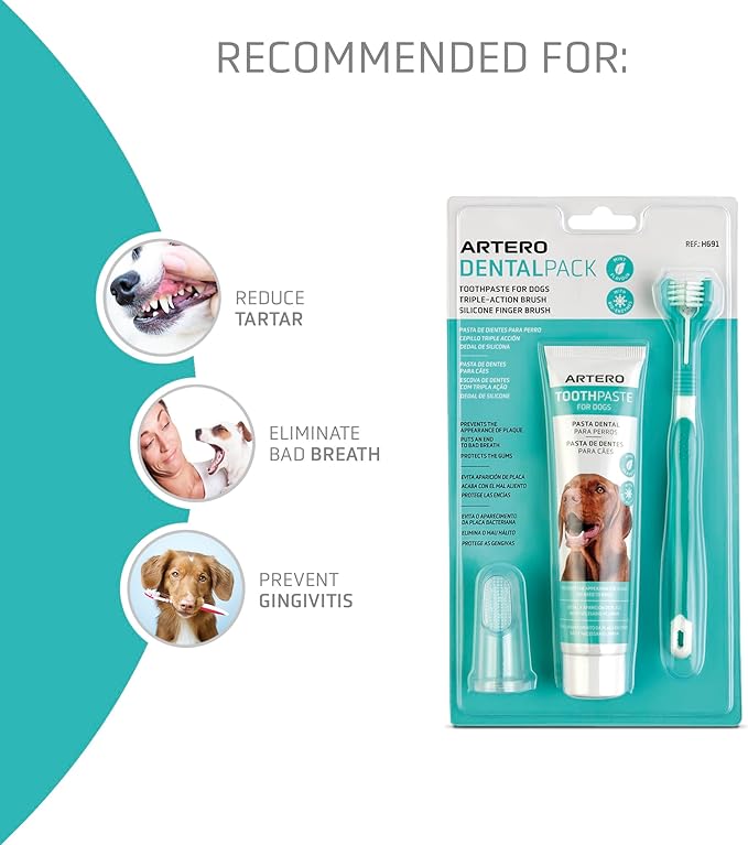 ARTERO Dental Pack Smile