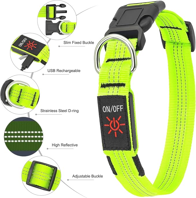 BSEEN Light Up Dog Collar - Glowing LED Dog Collar, Reflective Dog Collar, Adjustable Lighted Dog Collar, Rechargeable Puppy Collar for Night Walking (Green-II, Small)