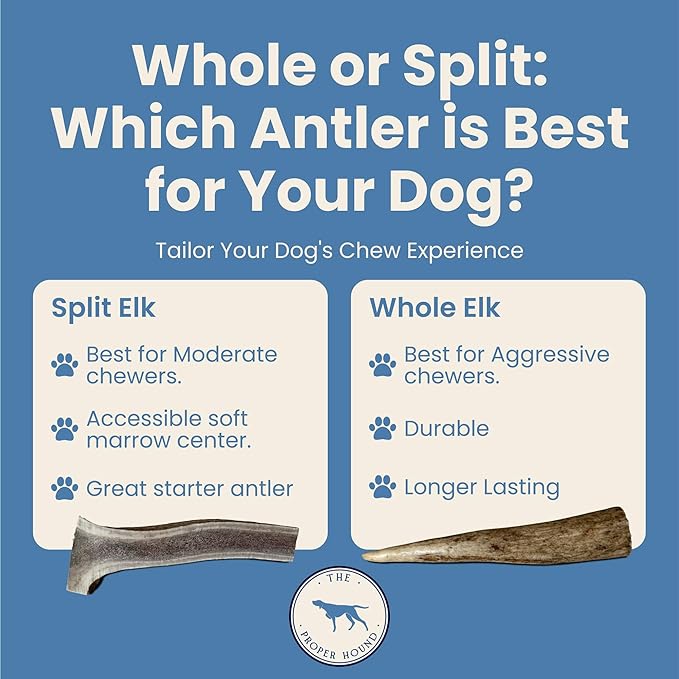 Medium 3 Pack Whole Elk Antlers for Dogs [Long Lasting] - Elk Bones for Dogs Humanely Sourced - Elk Horns for Dogs - Dog Elk Antler Chews - Antlers for Dogs Medium 25-40 Pounds