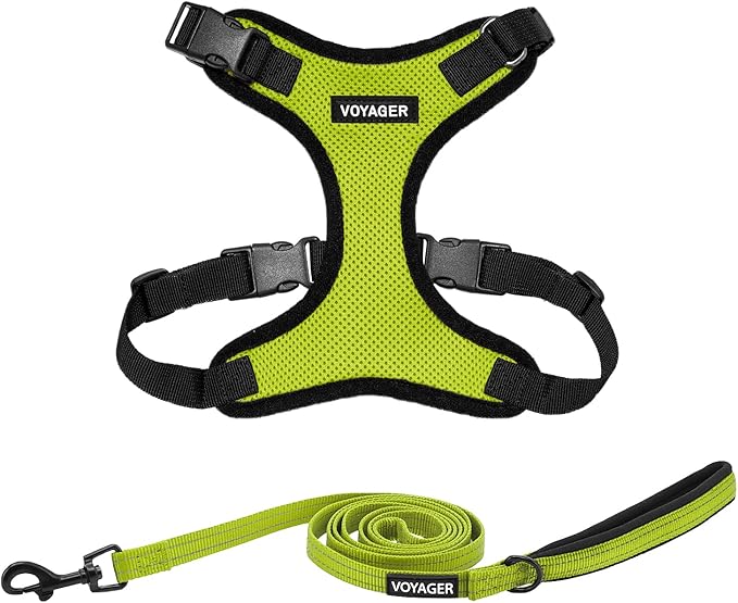 Voyager Step-in Lock Dog Harness w Reflective Dog Leash Combo Set with Neoprene Handle 5ft - Supports Small, Medium and Large Breed Puppies/Cats by Best Pet Supplies - Lime Green/Black Trim, S