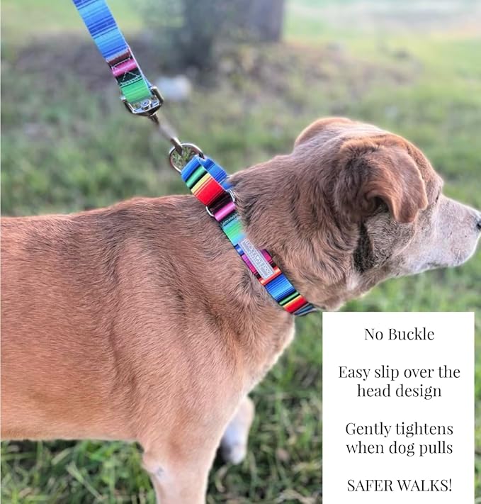 Lucky Love Dog Martingale Collar, Premium No Slip Collar, Colorful Striped Martingale Dog Collar for Large Dogs, Great for Whippets, Greyhounds, and More (Large, Nacho)
