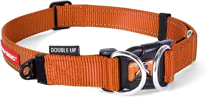 EzyDog Double Up Premium Nylon Dog Collar with Reflective Stitching - Double D-Rings for Superior Strength, Safety, and Comfortability - Non-Rusting and Includes an ID Attachment (Small, Orange)