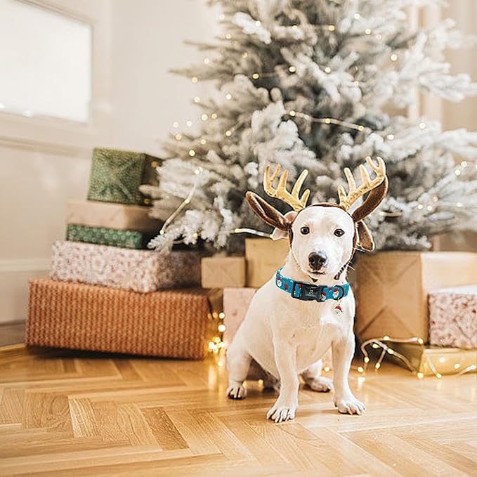 Lionheart glory Christmas Dog Collar, Blue Christmas Santa Deer Dogs Collar Adjustable Soft Comfortable Collars for Small Dogs Girl or Boy Pet Gift Fall Cute Collar
