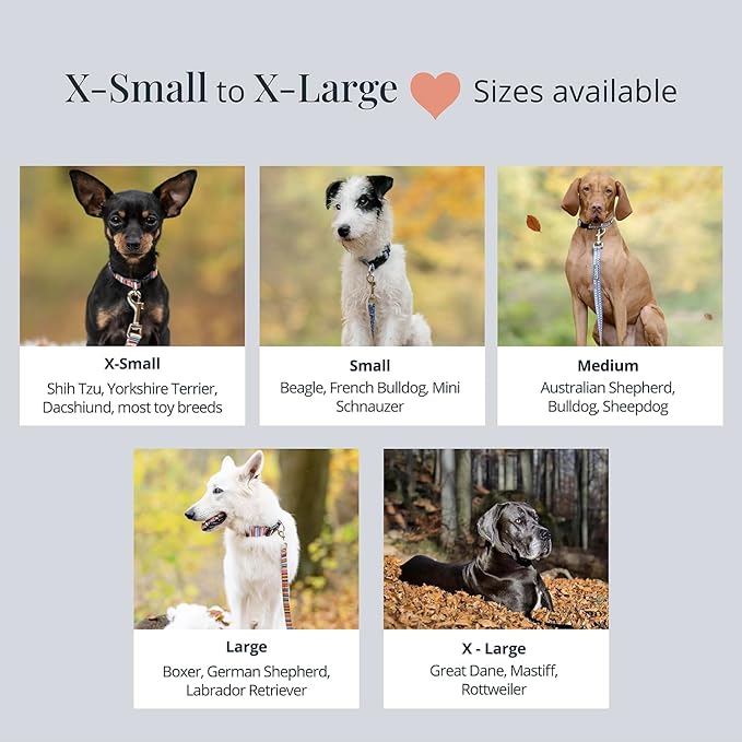 Lucky Love Dog - Adjustable Dog Collar with Easy Click Buckle for Small to Large Dogs, Durable, & Comfortable Collar for Male & Female Dogs, Pet Collar for Puppies & Adult Dogs - Ladybird, Small