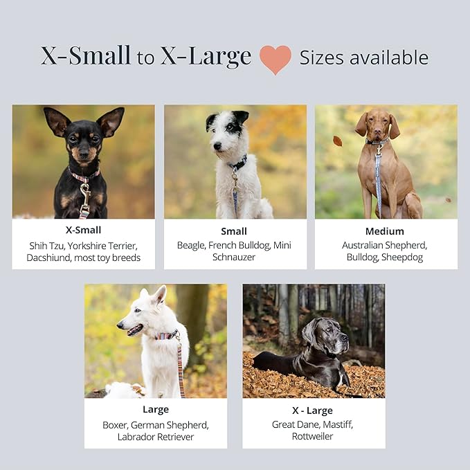 Lucky Love Dog - Adjustable Dog Collar with Easy Click Buckle for Small to Large Dogs, Durable, & Comfortable Collar for Male & Female Dogs, Pet Collar for Puppies & Adult Dogs - Blackbird, X-Small