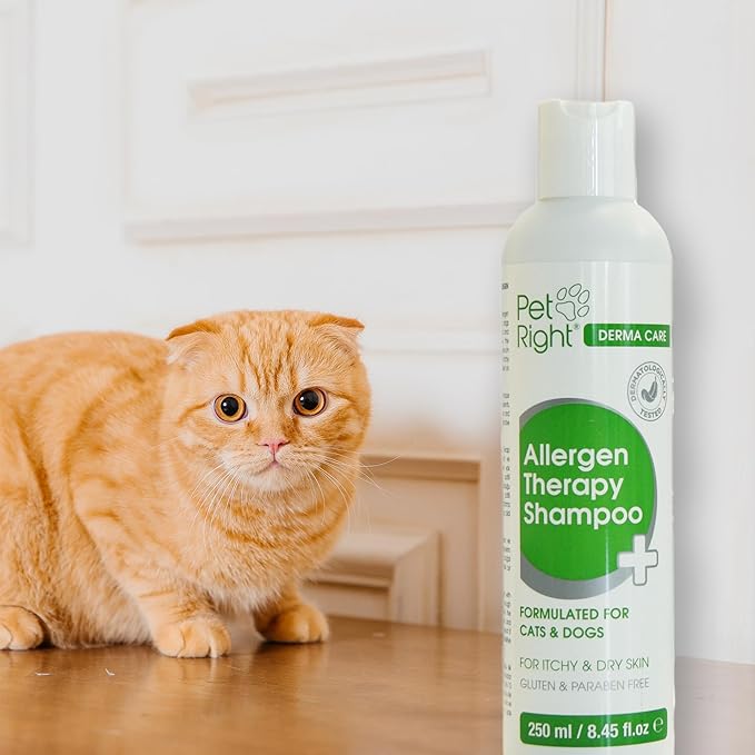 Derma Care Dog Shampoo Allergen Therapy with Plant extracts for Dogs and Cats, relieves itching and odours, Sensitive Formula 250 ml