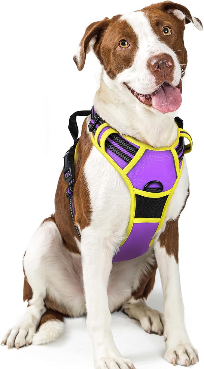rabbitgoo Dog Harness, No-Pull Pet Harness with 2 Leash Clips, Adjustable Soft Padded Dog Vest, Reflective No-Choke Pet Oxford Vest with Easy Control Handle for Large Dogs, Purple & Yellow, L