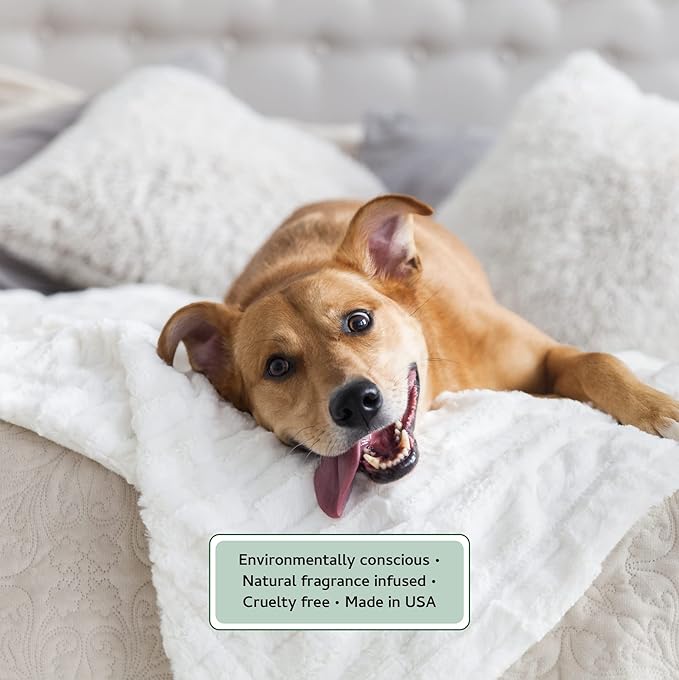 Begley's Pet Cologne and Deodorizer - Premium Essential Oil Dog Perfume Spray Long Lasting and Pet Odor Eliminator - Cat Perfume and Dog Cologne Spray - Baby Powder - 8 oz