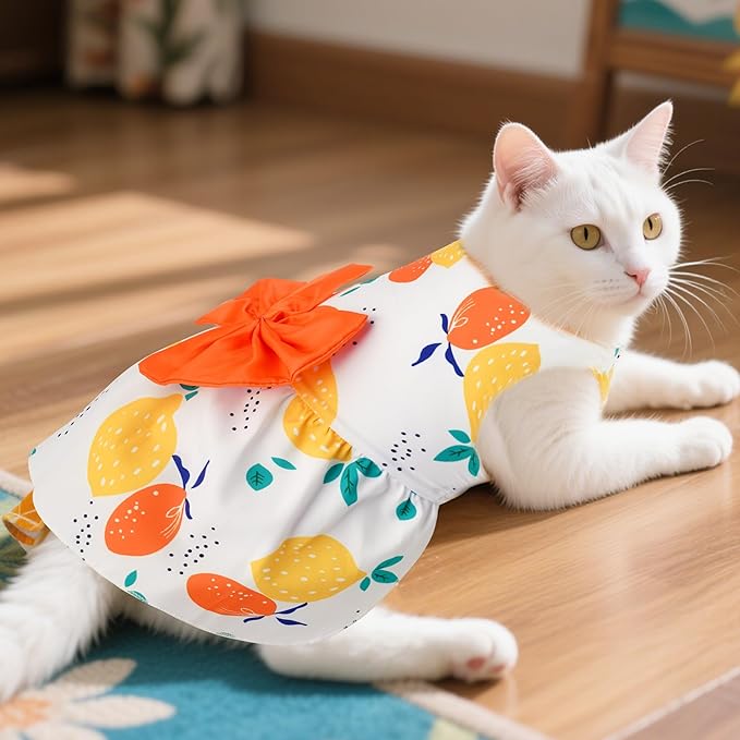 choyaxo Floral Dog Dress Cute Dog Skirt Pet Dress Summer Pet Clothes for Puppy Small Cats