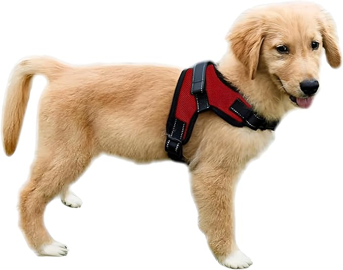 Dog Harness Small Sized Dog - All Weather Mesh overhead adjustable no pull Vest Puppy reflective Harness with handle for Small and Medium Dogs by Copatchy - Harness (Red) Small