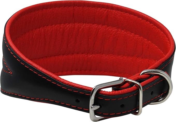 Real Leather Extra Wide Padded Tapered Dog Collar Glossy Black Greyhound Saluki Deerhound Lurcher Whippet Dachshund (16.75"-20" Neck; 3" Wide, Red)