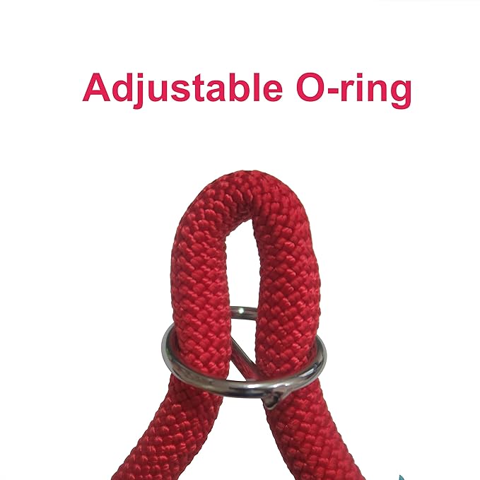 Braided Rope Collar, Pro Training Dog Collar, No Pull Round Martingale Collar, Slip Collar with Slidable Stop Ring - Ideal for Small Dogs (S(1/3") - 16" Long, Red)