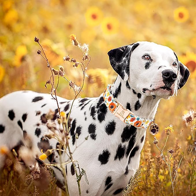 Lionheart glory Dog Collar Sunflower Print Dogs Collar Spring Summer Cute Collars Dog Girl or Boy Soft Durable Adjustable Dog Collars for Small Dogs Pet Gift