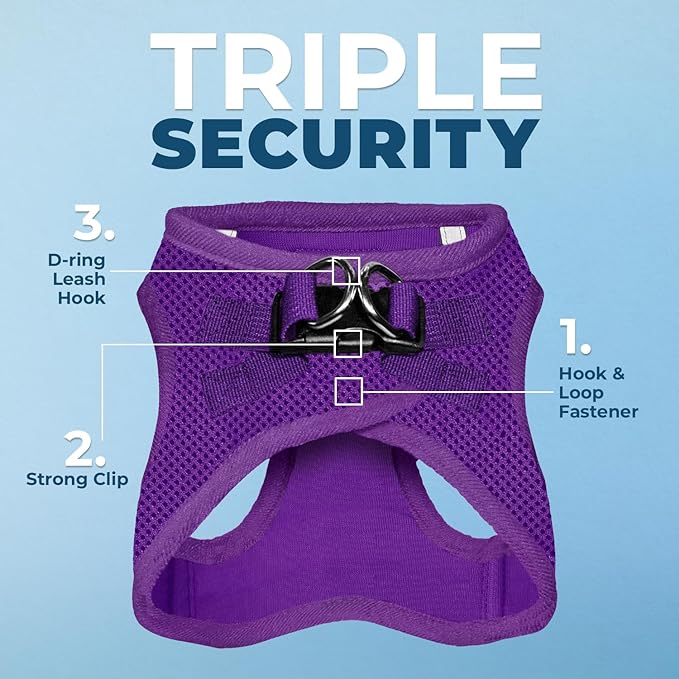 Voyager Step-in Air Dog Harness - All Weather Mesh, Reflective, No Pull Harness for Small, Medium Dogs, Cats - Secure with Hook & Loop Fastener, Buckle, Double D-Rings - Purple, S