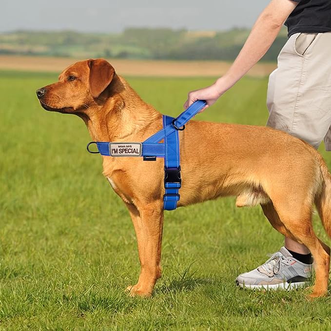 Annchwool No Pull Dog Harness with Soft Padded Handle,Reflective Strip Escape Proof and Quick Fit to Adjust Dog Harness,Easy for Training Walking for Small & Medium and Large Dog(Blue,XL)