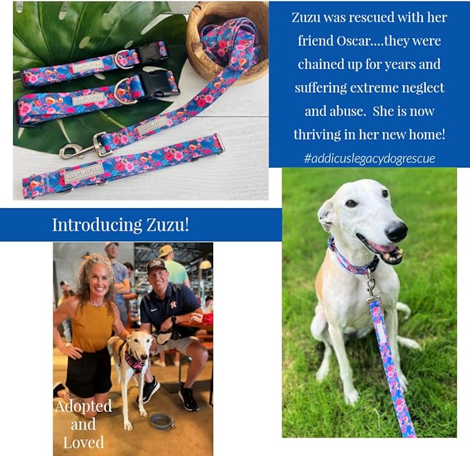 Lucky Love Dog Wide Dog Collar - Adjustable, Durable, Soft Webbing, & Comfortable 1.5 inch Wide Collar for Dogs Male and Female - in Zuzu Pattern with Strong Buckle, X-Large Size