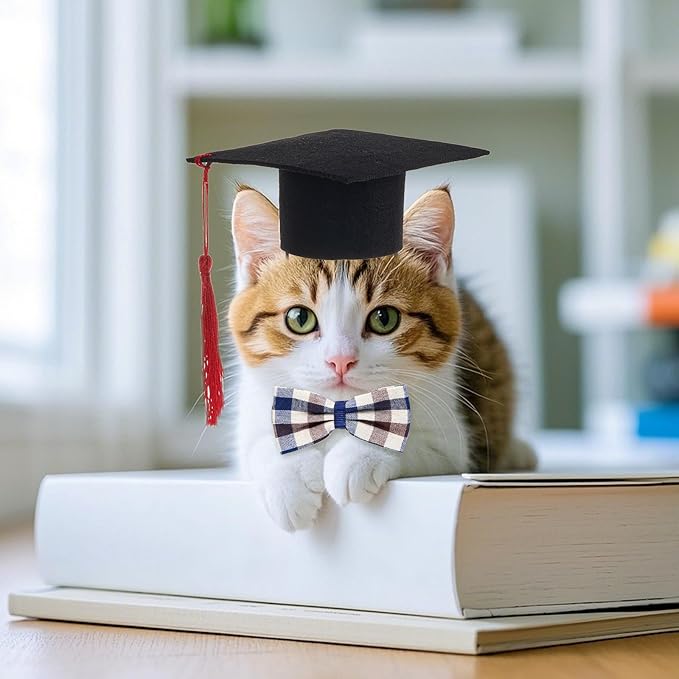 Pet Graduation Cap with Bowtie Collar Set, Small Dogs Cats Graduation Outfits Party Dress Costume Accessory (Gray)